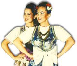 Image of a dancer with a
folk costume