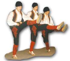 Image of a dancer with a
folk costume